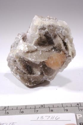 Poldervaartite