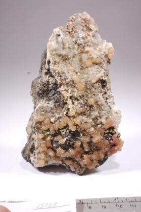 Poldervaartite