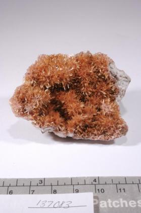 Bertrandite