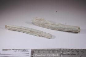 TREMOLITE