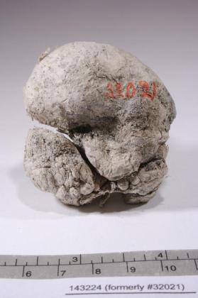 TREMOLITE
