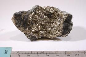 Calaverite