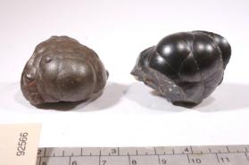 Baddeleyite