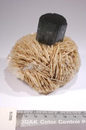 ELBAITE