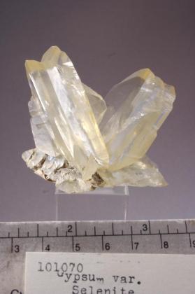 Gypsum