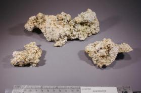 Apjohnite