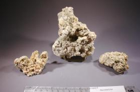 Apjohnite
