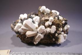 Gypsum