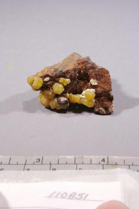 Mimetite-M