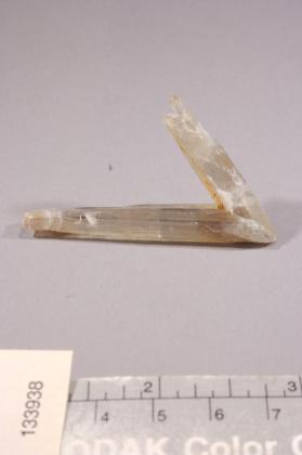 Diaspore