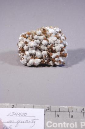 Collinsite with Eosphorite and Quartz and Zanazziite