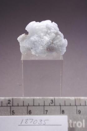 Celestine