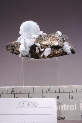 Celestine