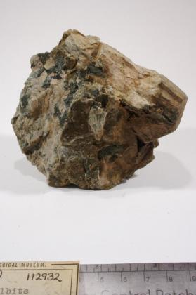 paleoalbite