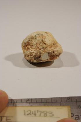 Anthoinite