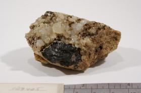Albite