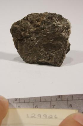 Sylvanite
