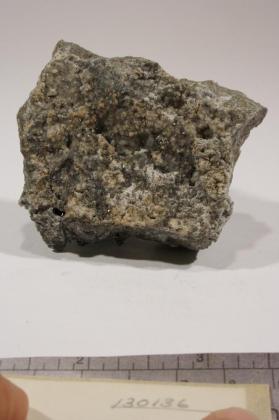 Sylvanite