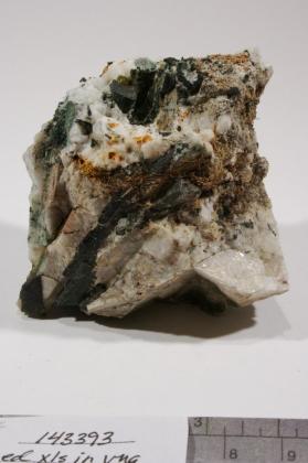 Eudidymite