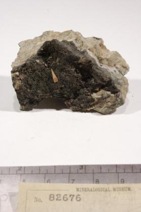 Xanthoconite