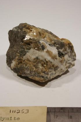 Polydymite