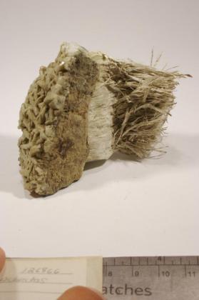 Asbestos