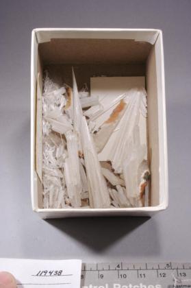SCOLECITE