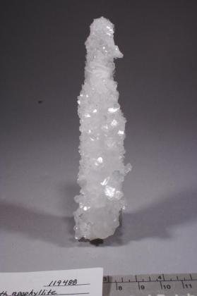 SCOLECITE