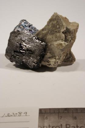 Galena