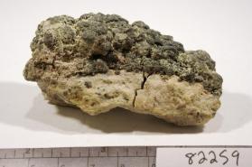 Marcasite