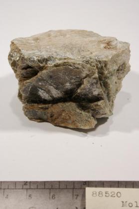 Molybdenite