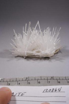 SCOLECITE