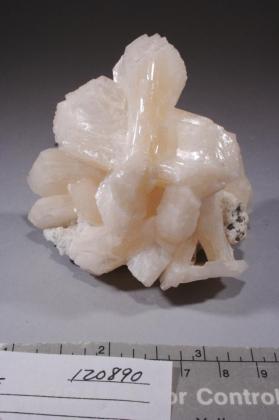 Stilbite