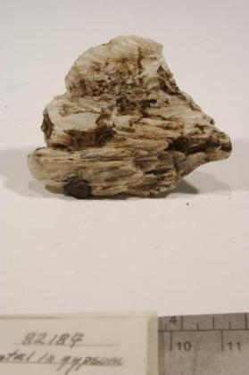 Skutterudite