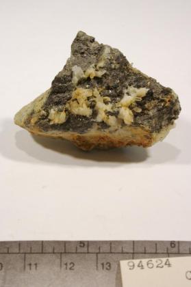 Colusite