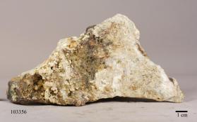 Whitlockite