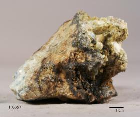 Whitlockite