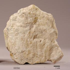 Zircon (var. cyrtolite)