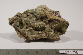 Sengierite