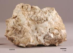 Pectolite