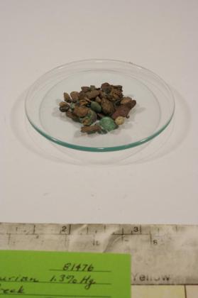 arquerite