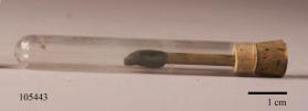 Lead