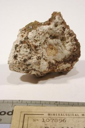 embolite