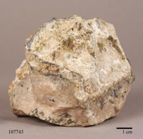 Torreyite