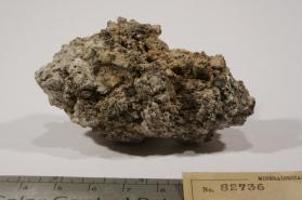 embolite