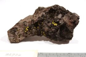 Iodargyrite