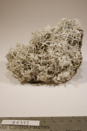 ARAGONITE