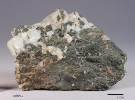 dysluite
