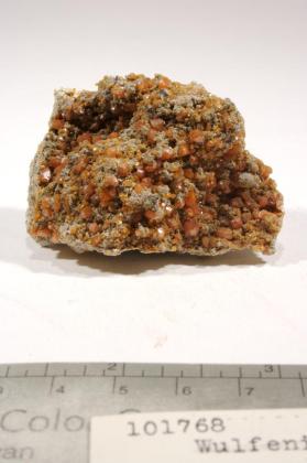 Wulfenite