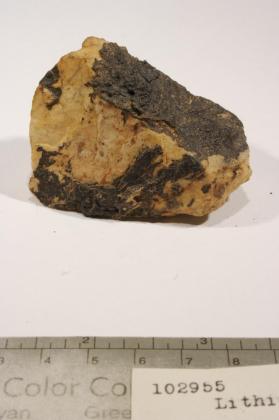 Lithiophorite